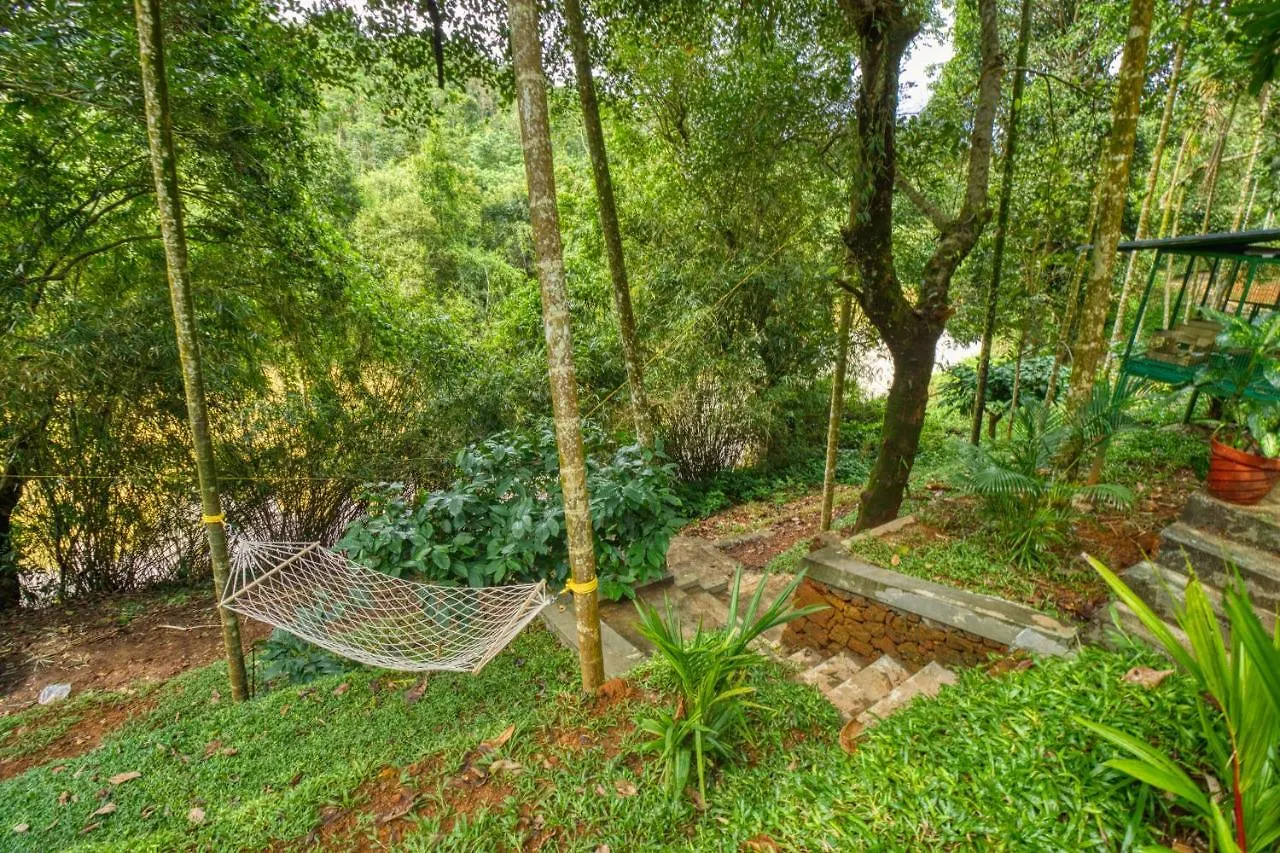Hotel Ende Wayanad Resort Koroth