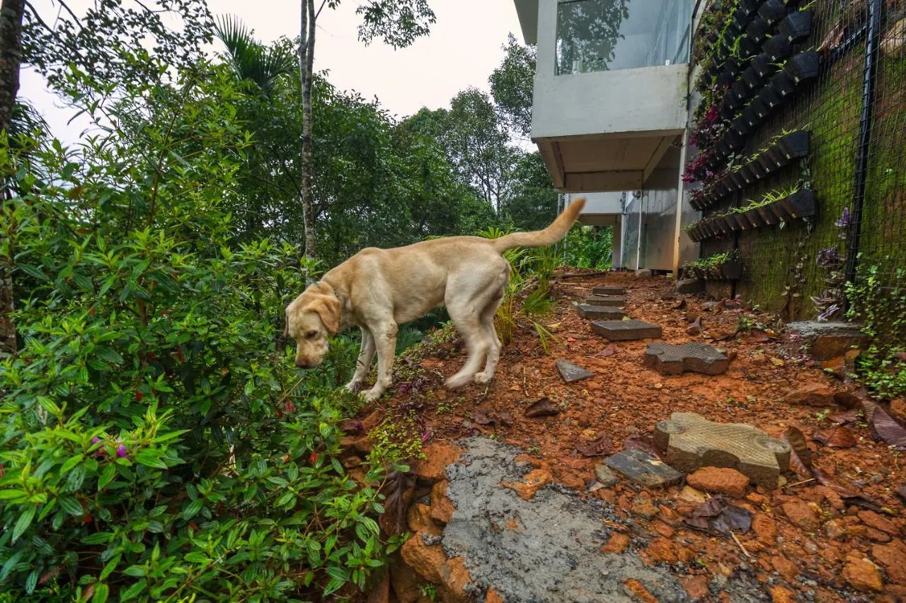 Hotel Ende Wayanad Resort Koroth