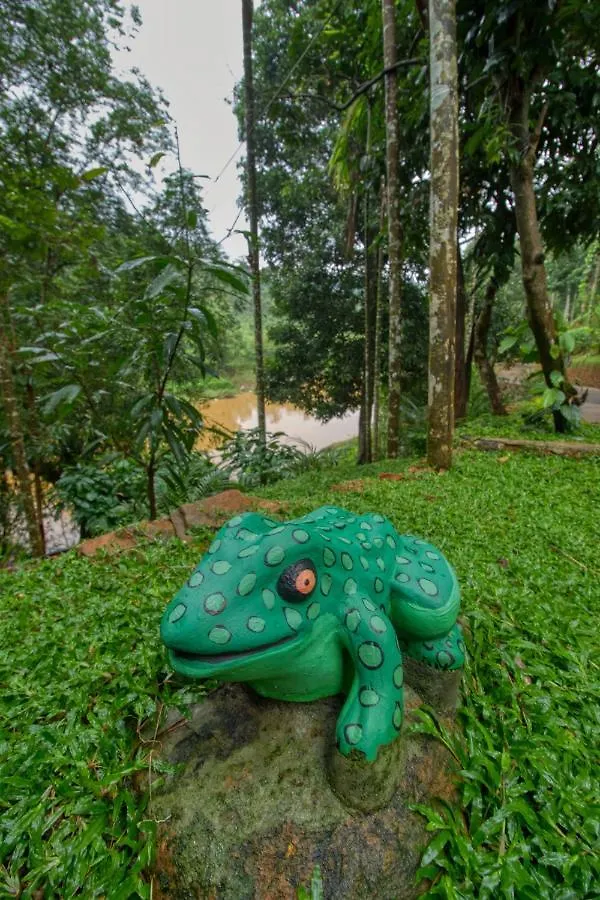 Ende Wayanad Resort Koroth 3*,