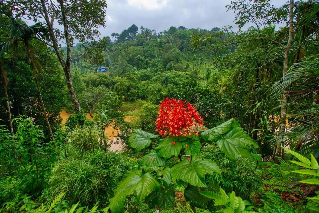 *** Hotel Ende Wayanad Resort Koroth India